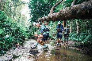 BIB: 
                            <button type="button" onclick="openModal(25368973)" class="btn btn-primary btn-sm float-right btn-popup" data-toggle="modal" data-target=".modal-high-quality">
                        <i class="fas fa-shopping-cart"></i> Add to Cart
                    </button>
                                            <button type="button" onclick="isThisMe(25368973, true)" class="btn btn-success btn-sm float-right btn-popup btn-isme hidden" data-toggle="tooltip" data-placement="bottom" title="นี่คือรูปของคุณใช่ไหม คลิกที่นี่เพื่อเอาเข้าอัลบั้ม">
                        <i class="fas fa-plus"></i> Add to album
                    </button>
                    <button type="button" onclick="isThisMe(25368973, false)" class="btn btn-warning btn-sm float-right btn-popup btn-isnotme hidden">
                        <i class="fas fa-ban"></i> Remove from album
                    </button>